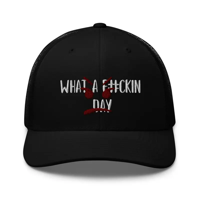 What a day snapback